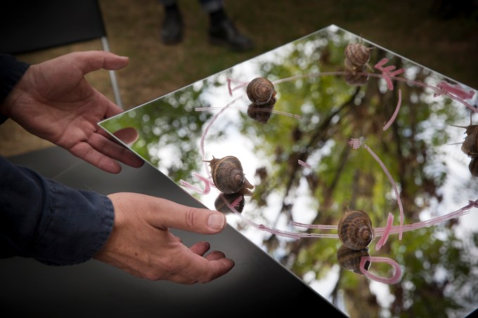 oerlikunst_20160917_2228